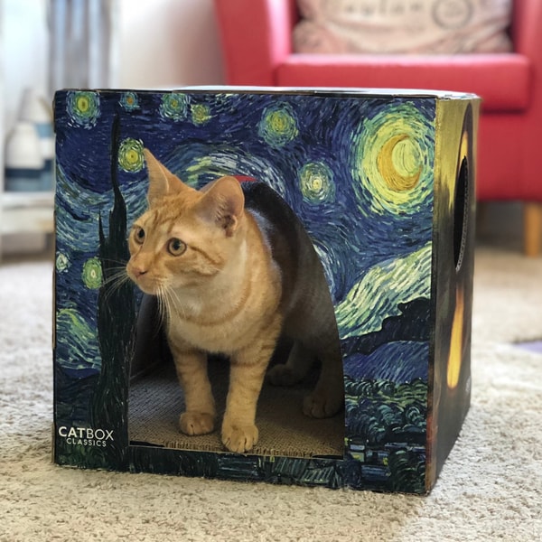 Cat Box Classics Furry Masterpieces Cat House Review