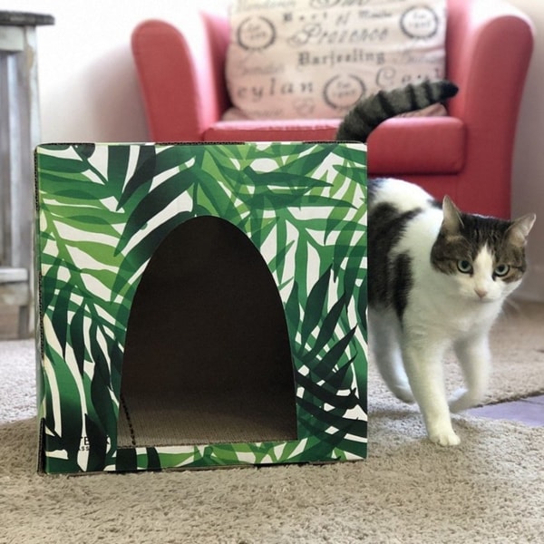 Cat Box Classics Kitty Jungle Cat House Review