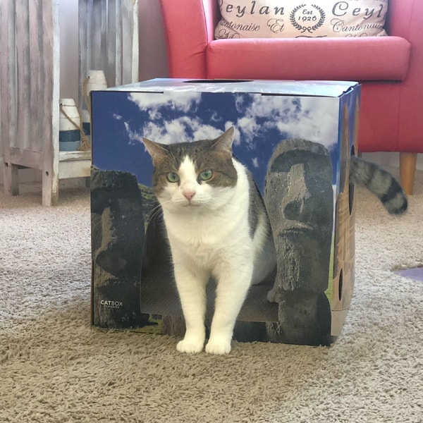 Cat Box Classics Whiskers of the World Cat House Review