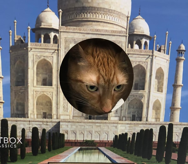 Cat Box Classics Review