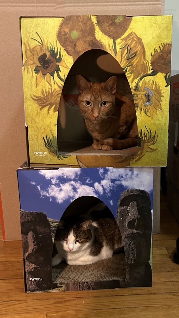 About Cat Box Classics