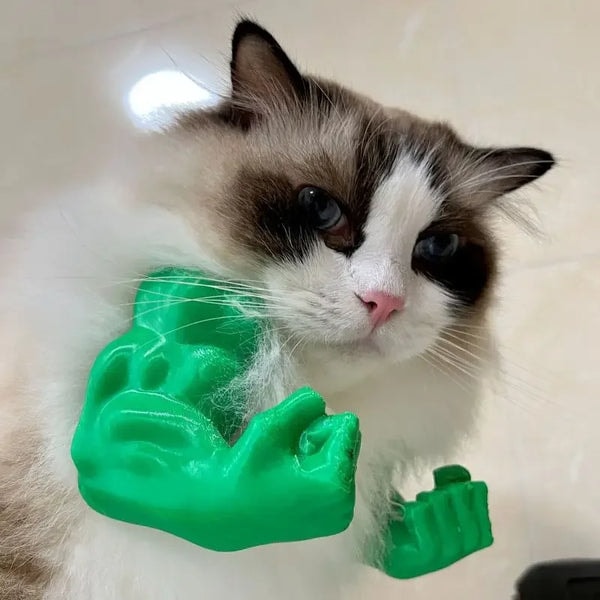 CatCurio Hilarious Muscle Cat Arms Review