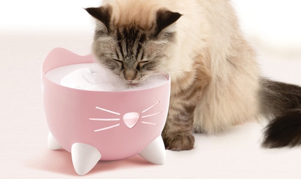 About Catit