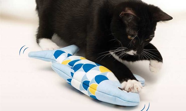 Catit Review