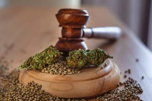 &Uuml;ber CBD Natural