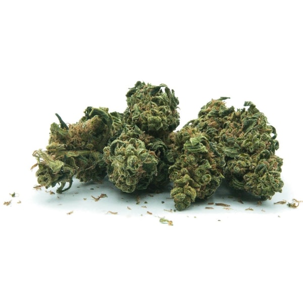 &Uuml;berblick &uuml;ber CBD SHOP 24