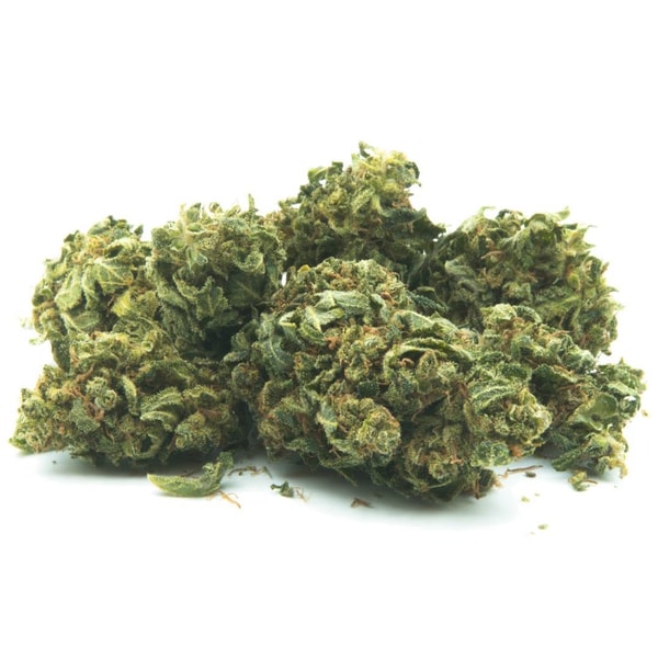 CBD SHOP 24 Bewertung
