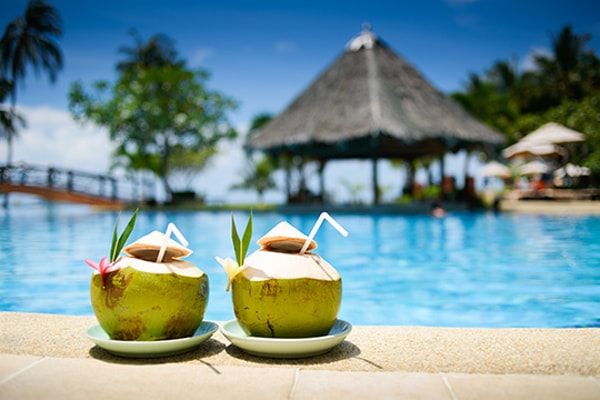 Cedar Tree Travel Insurance Single Trip Review