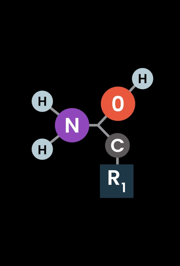About Chain X Peptides