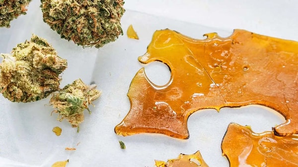 Rooted in Cheef Botanicals