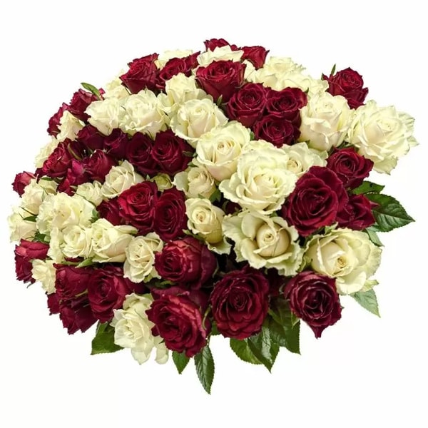 Chelsea Florals 101 Luxury Red and White Roses Review