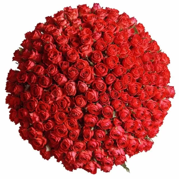 Chelsea Florals 200 Luxury Red Roses Review