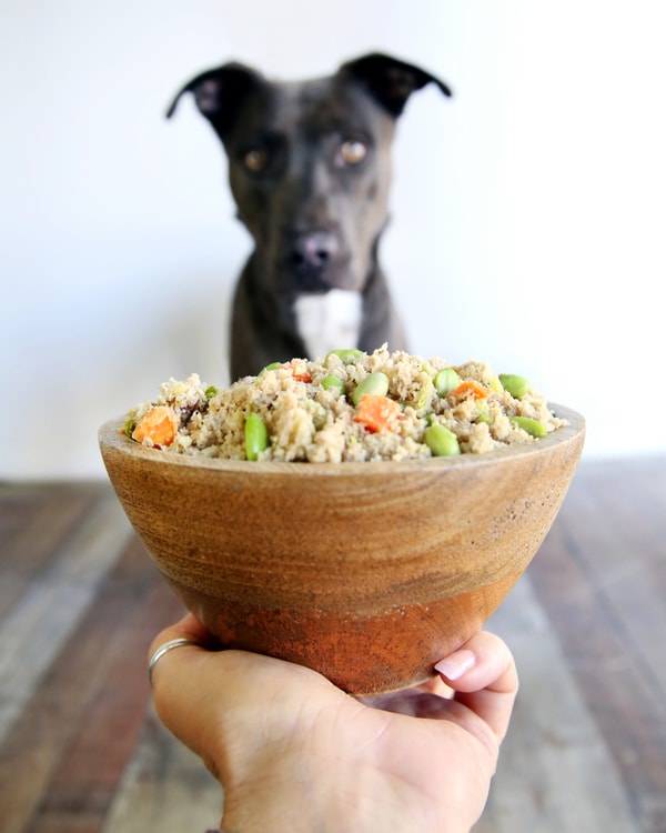 Chi Dog Review