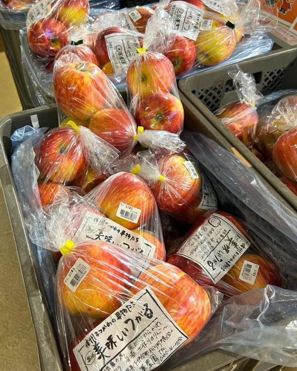 Chicory レビュー