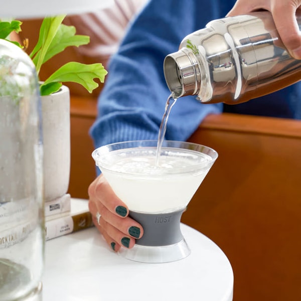 Chill With Host Martini FREEZE&trade; in Gray Review