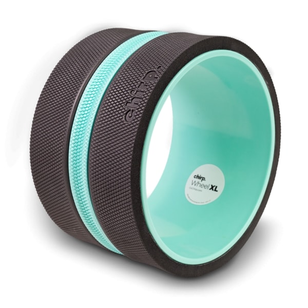Chirp Wheel XL Reviews