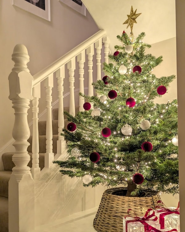 About Christmas Trees Direct