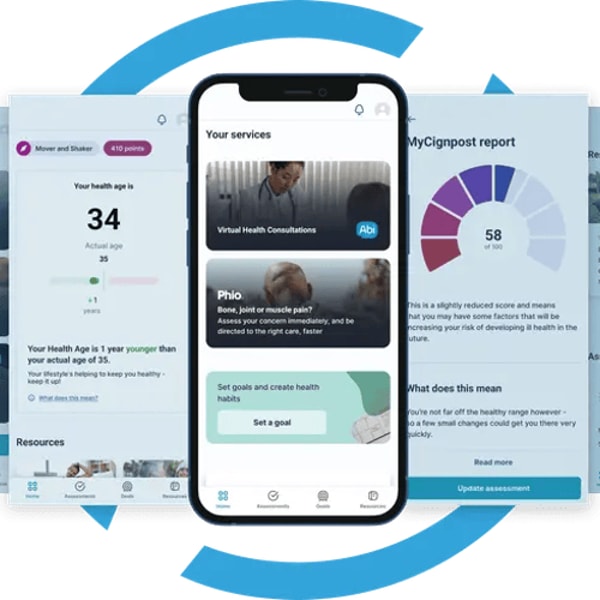 About Cignpost