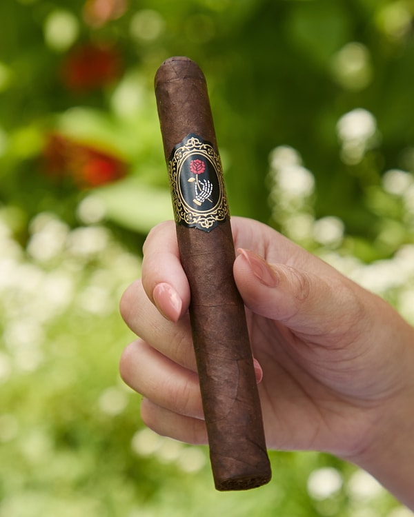 Cigora Review