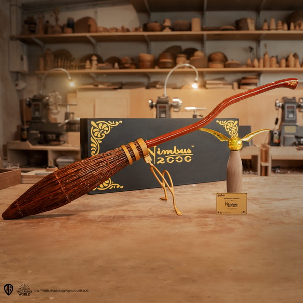 Cinereplicas Nimbus 2000 Junior Avis