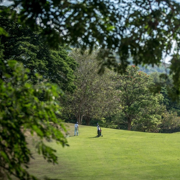 Cinnamon Hotels & Resorts Victoria Golf Resort Review