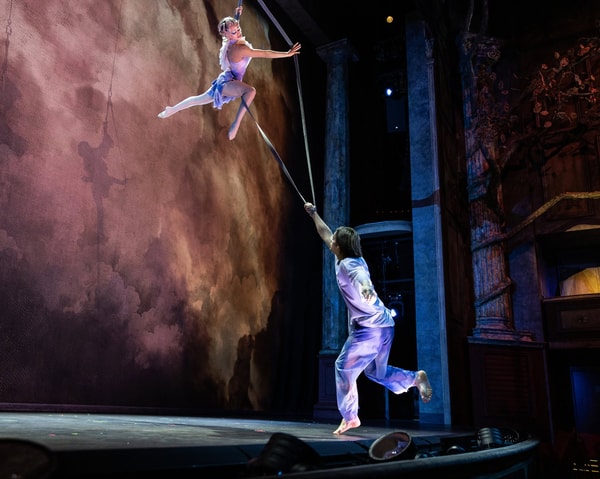 Acerca de Cirque du Soleil