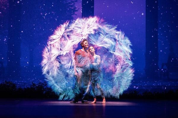 Cirque du Soleil Rese&ntilde;a