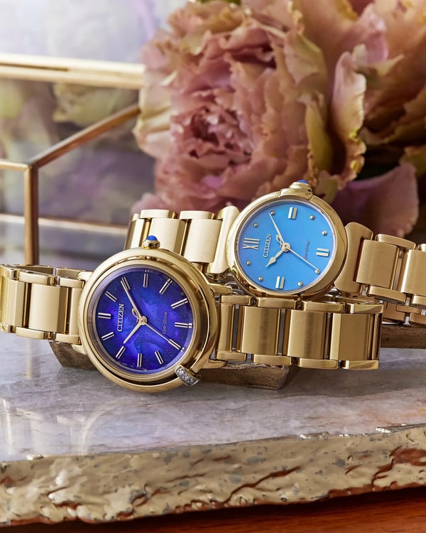 About Citizen Watch