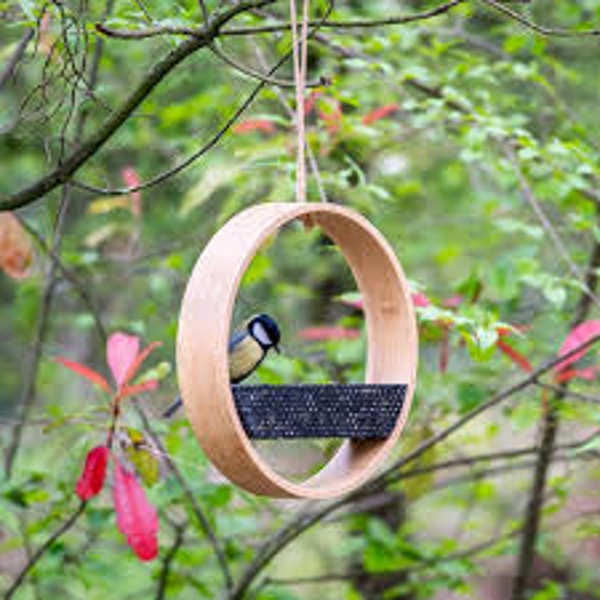 CJ Wildlife Osaka Bamboo Bird Feeder Review