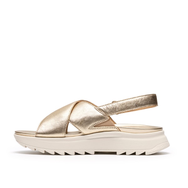 Clarks DashLite Wish مراجعة