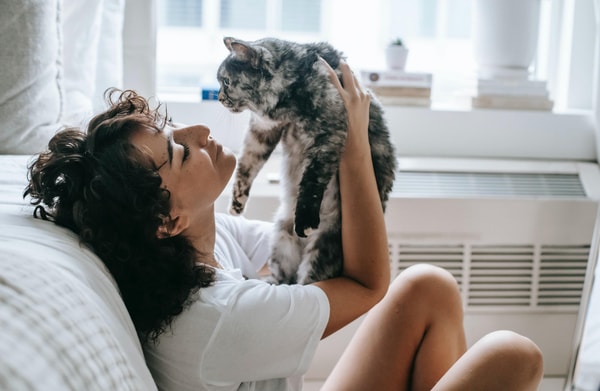 Cleos Katzen-Krankenversicherung Bewertung