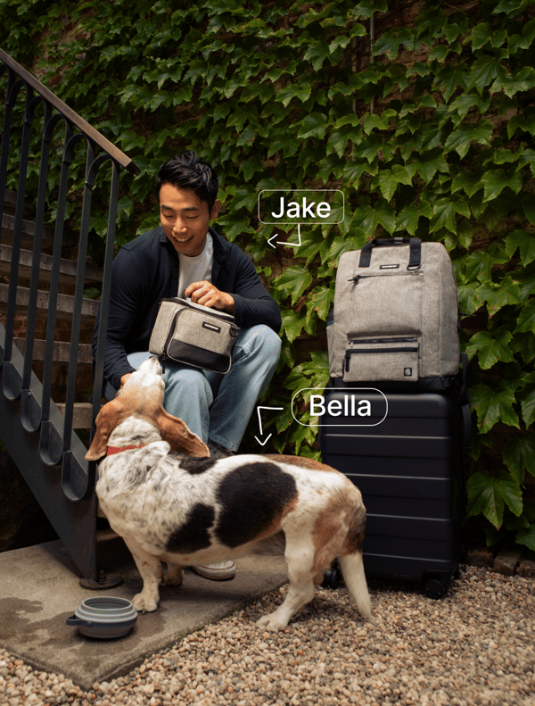 Cleverpup Review