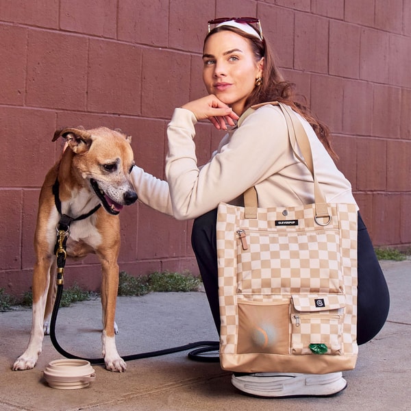 Cleverpup Park Pack Tote Review