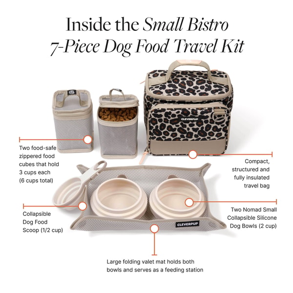 Cleverpup Ultimate Dog Travel Bundle Review