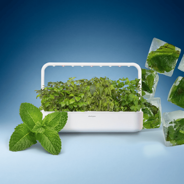 Click & Grow Loaded Water Mix Review