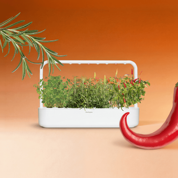 Click & Grow Fire & Flavor Mix Review