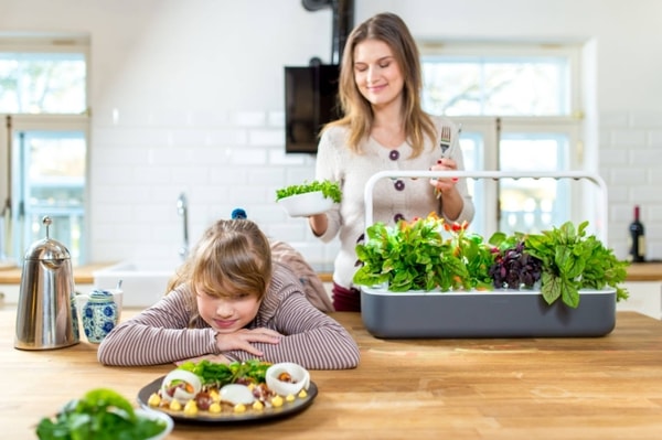 Click & Grow Reviews: What Do Customers Think?