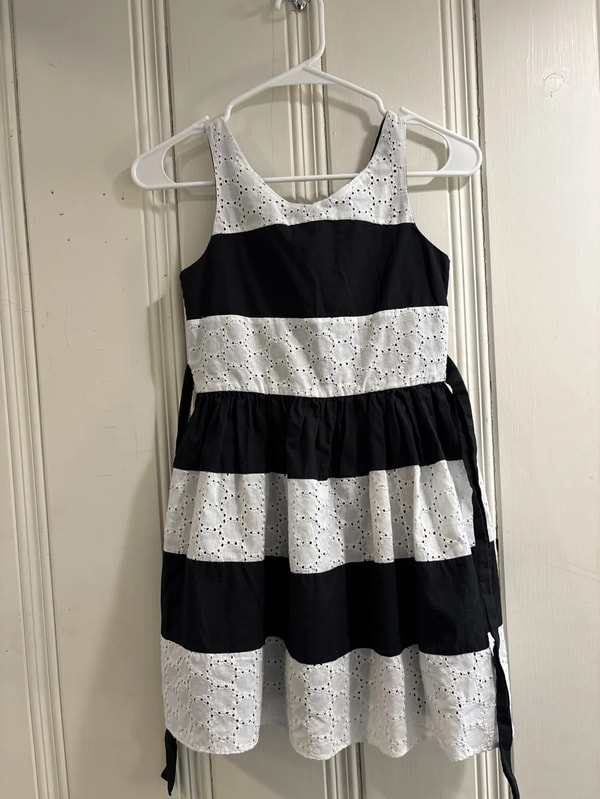 Closest Closet Bloome Cotton Paneled Dress Review