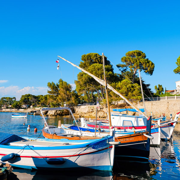 Club Med Recension