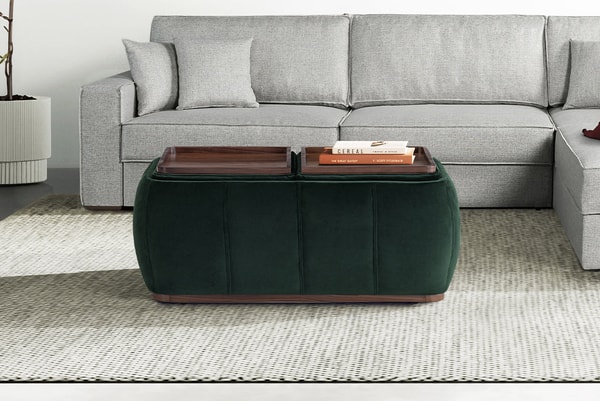 Coddle Optic Multifunctional Ottoman with Storage Review