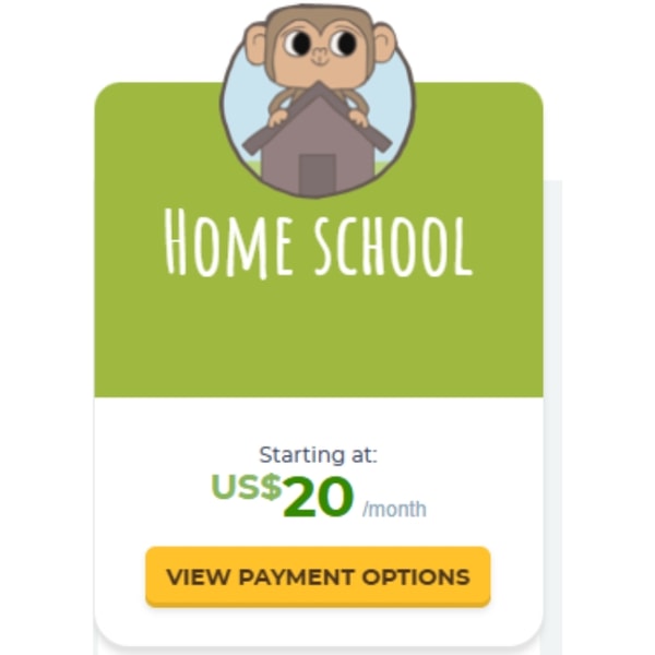 CodeMonkey Home school Plan Review
