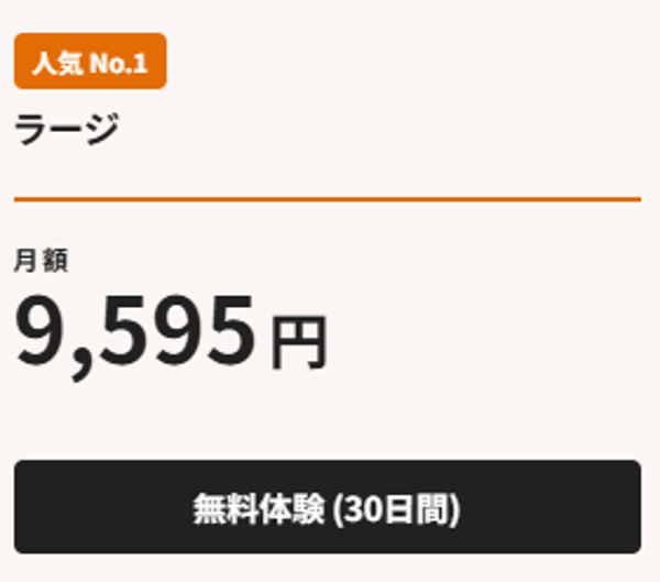 Color Me Largeプランレビュー