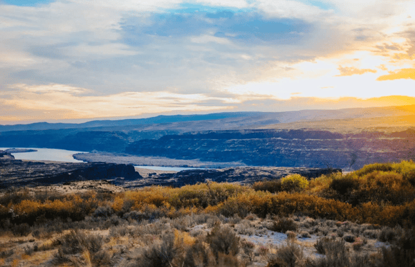 About Columbia Naturals