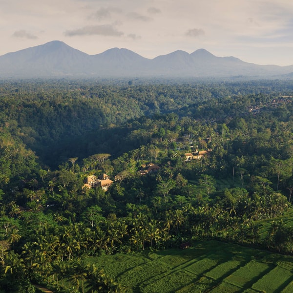 COMO Hotels and Resorts COMO Shambhala Estate Reviews