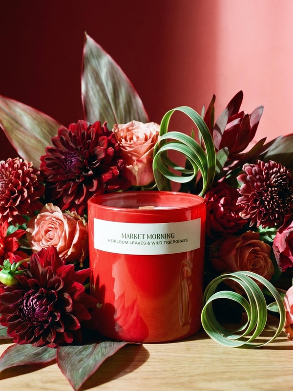 Overview of Companion Candles