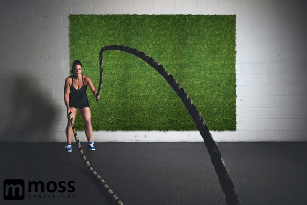 Compleet Groen Reindeer Moss Wall Panel Beoordeling