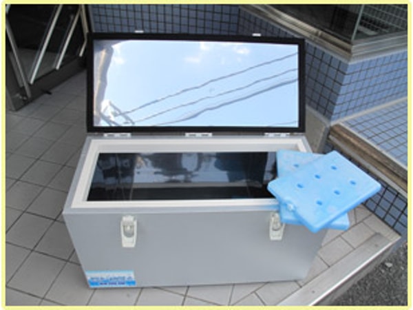 Cooler Box KR Cool Box 20L レビュー