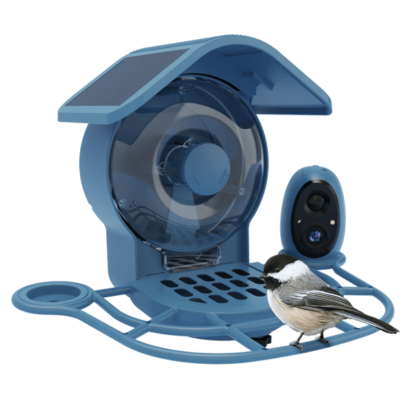 COOLFLY Aura Smart Bird Feeder Review