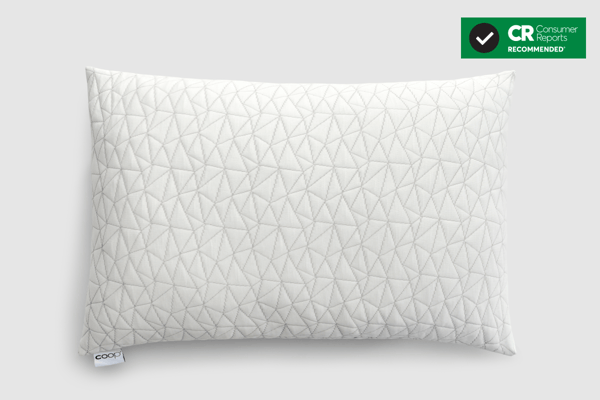Coop Sleep Goods Original Adjustable Pillow Review