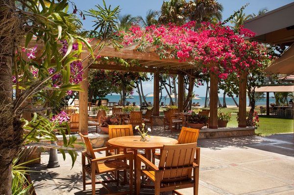 About Copamarina Beach Resort & Spa